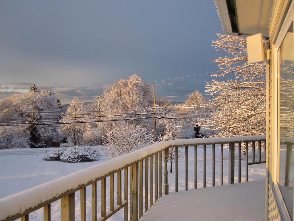 Basinview Motel Smiths Cove Экстерьер фото