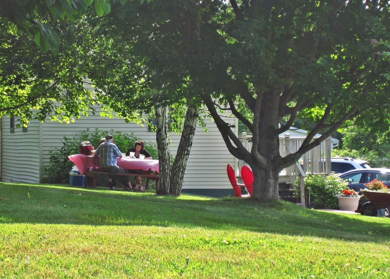 Basinview Motel Smiths Cove Экстерьер фото