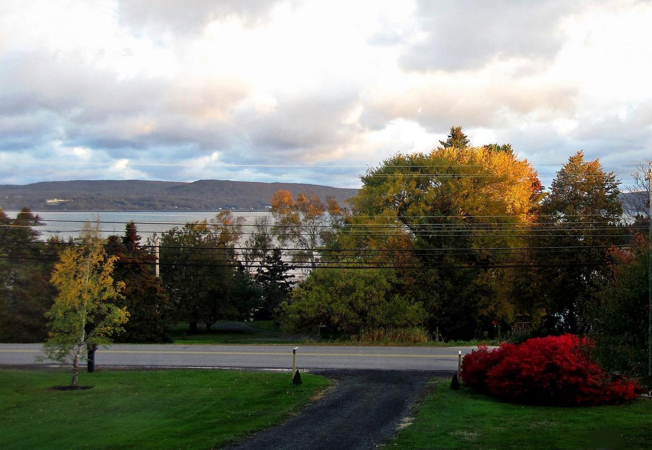 Basinview Motel Smiths Cove Экстерьер фото